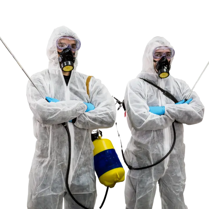 Untitled design - 2025-01-09T132355.150