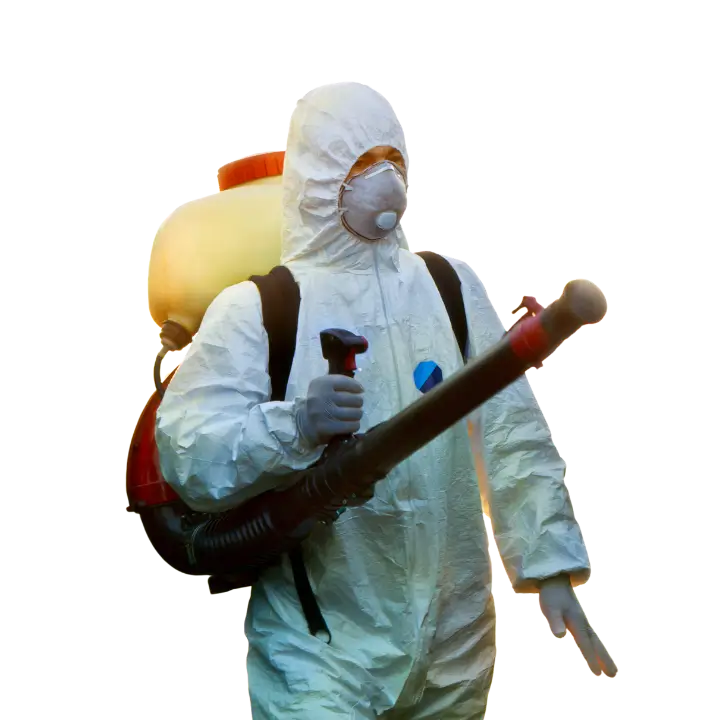 Untitled design - 2025-01-09T132441.839