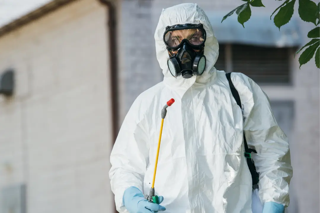 Expert Anti Rodents control Services | Innov Pest Solutions Co.