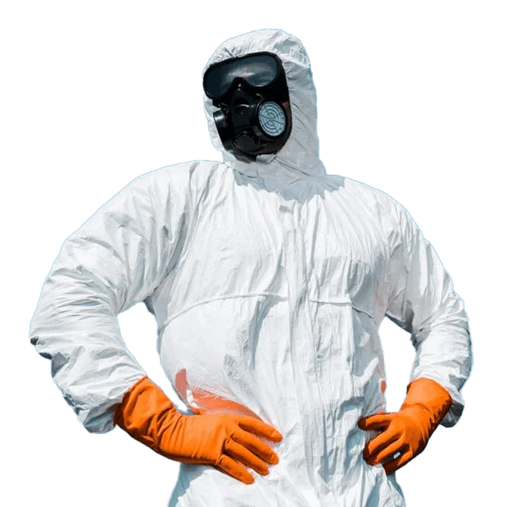 img__1.png